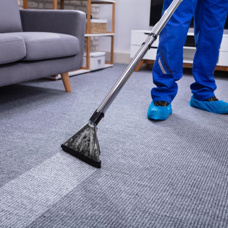 Carpet Cleaning Zweibrücken Deep Carpet Cleaning Zweibrücken Steam Carpet Cleaning Zweibrücken Carpet Stain Removal Zweibrücken Residential Carpet Cleaning Zweibrücken Office Carpet Cleaning Zweibrücken Rug Cleaning Zweibrücken Professional Carpet Cleaners Zweibrücken
