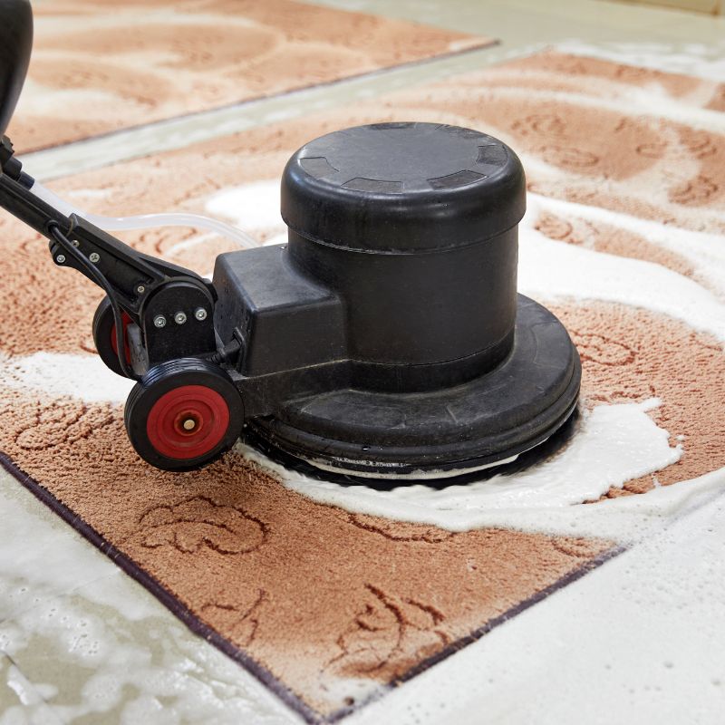 Carpet Cleaning Zweibrücken Deep Carpet Cleaning Zweibrücken Steam Carpet Cleaning Zweibrücken Carpet Stain Removal Zweibrücken Residential Carpet Cleaning Zweibrücken Office Carpet Cleaning Zweibrücken Rug Cleaning Zweibrücken Professional Carpet Cleaners Zweibrücken