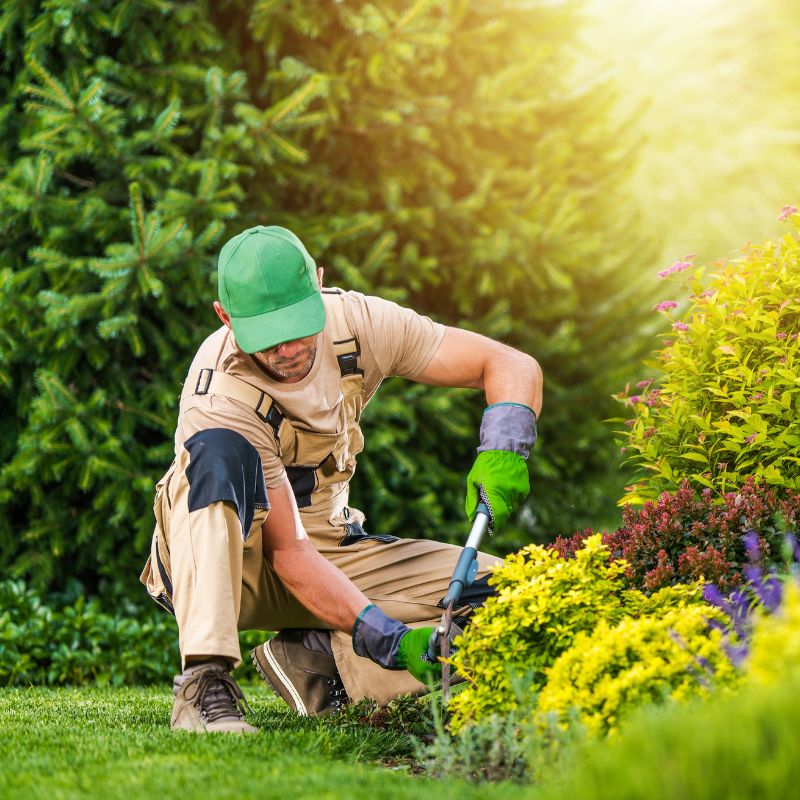 Garden Cleaning Zweibrücken Outdoor Cleaning Services Zweibrücken Lawn and Hedge Cleaning Leaf Removal Zweibrücken Green Waste Disposal Zweibrücken Professional Garden Maintenance Garden Tidy Up Services Seasonal Yard Cleaning Zweibrücken