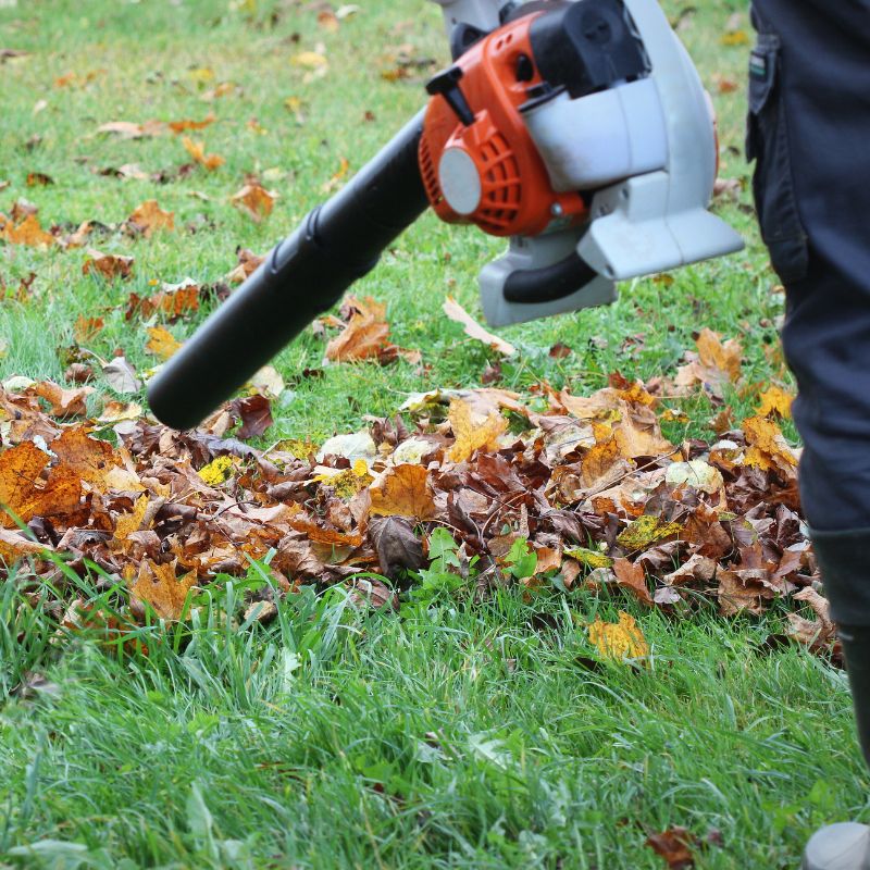 Garden Cleaning Zweibrücken Outdoor Cleaning Services Zweibrücken Lawn and Hedge Cleaning Leaf Removal Zweibrücken Green Waste Disposal Zweibrücken Professional Garden Maintenance Garden Tidy Up Services Seasonal Yard Cleaning Zweibrücken